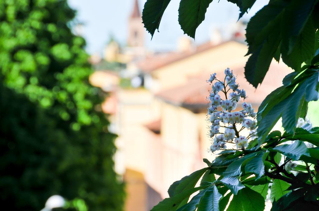 B&B Al Parco Giardini Margherita Bologna Buitenkant foto